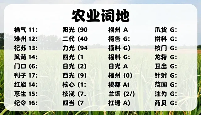 条目用途不明确，如何优化提示词服务