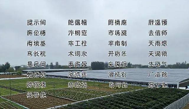 AI绘画提示词便宜卖的适用条件与选择依据